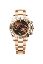 Mod Daytona Rose Gold Brown
